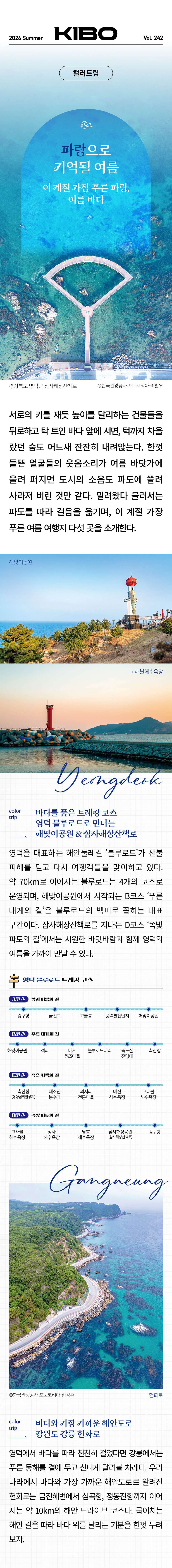 이미지 19